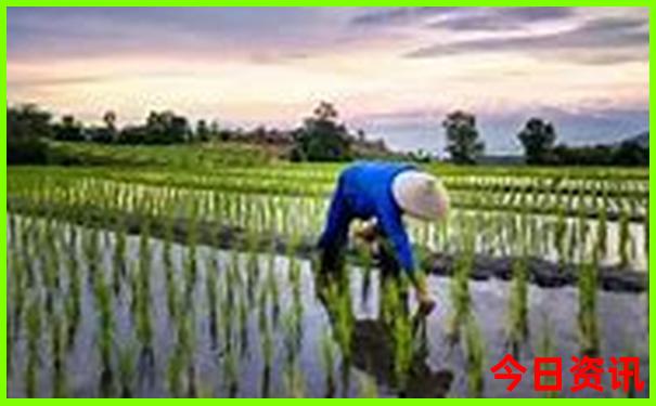 龙虎山自驾游最佳路线